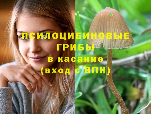 PSILOCYBIN Бугульма